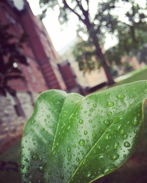 Image post by @shippensburgu on Instagram