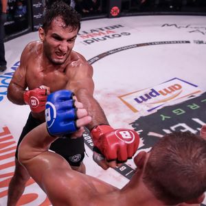 Image post by @bellatormma on Instagram
