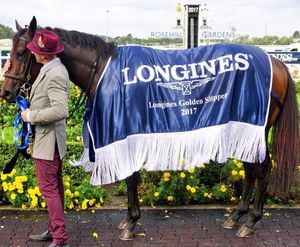 Image post by @australianturfclub on Instagram