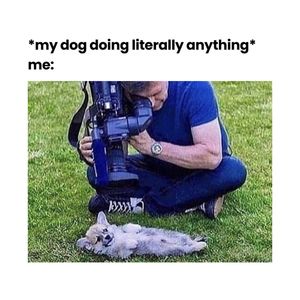 Image post by @bluebuffalo on Instagram
