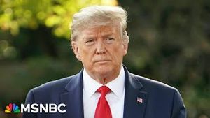 Video post by @msnbc on YouTube
