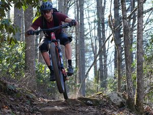 Image post by @bikerumor on Instagram