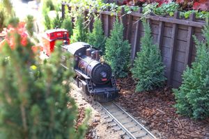 Image post by @rogersgardens on Instagram