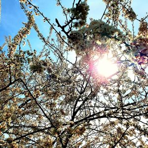 Image post by @crawmedia on Instagram