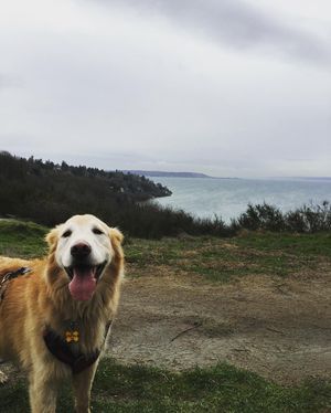 Image post by @amandakl on Instagram