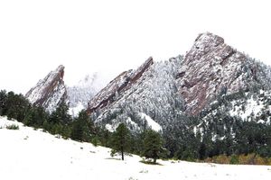 Image post by @cuboulderalumni on Instagram