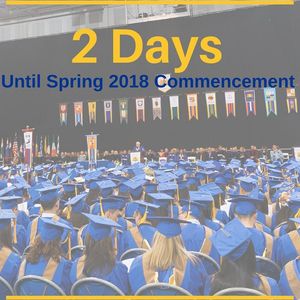 Image post by @hofstrau on Instagram