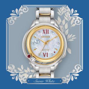 Image post by @citizenwatchus on Instagram