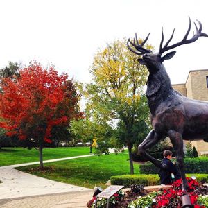 Image post by @fairfieldu on Instagram