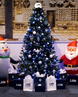 Image post by @lids on Instagram