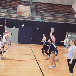 Image post by @utepvb on Instagram