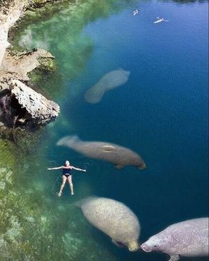 Image post by @outdoorsfsu on Instagram