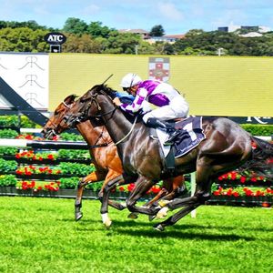 Image post by @australianturfclub on Instagram