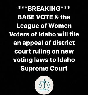 Image post by @babevote on Instagram