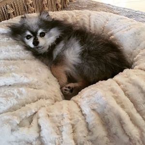 Image post by @vanessabryant on Instagram