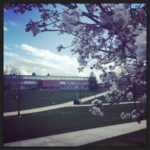 Image post by @shippensburgu on Instagram