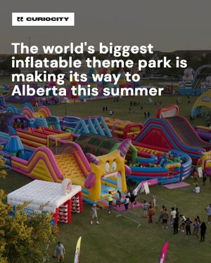 Image post by @curiocitycalgary on Instagram