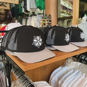 Image post by @sotastickco on Instagram