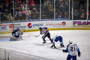 Image post by @rockfordicehogs on Instagram