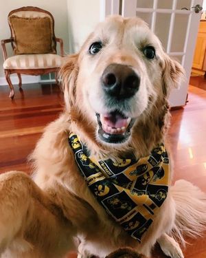Image post by @iowaadmissions on Instagram