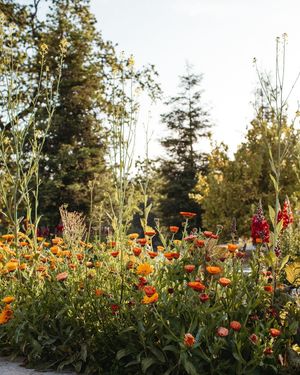 Image post by @ojaivalleyinn on Instagram