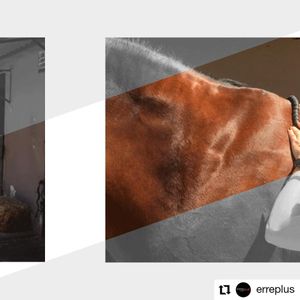 Image post by @performancesaddlefitssthsydney on Instagram