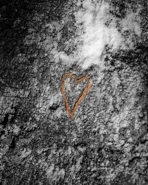 Image post by @ajs_angles on Instagram