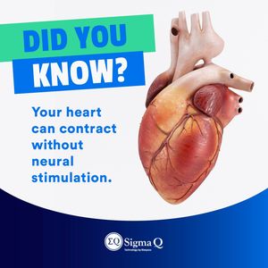 Image post by @sigmaqtechnology on Instagram