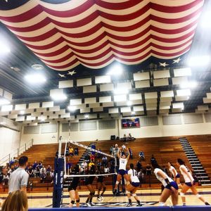 Image post by @hofstravb on Instagram