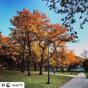 Image post by @fargoparks on Instagram