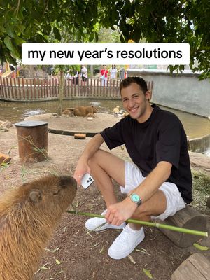 Image post by @joshfrommarketing on TikTok