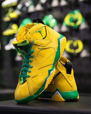 Image post by @goducks on Instagram