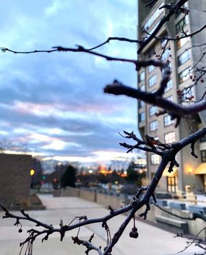 Image post by @hofstrau on Instagram
