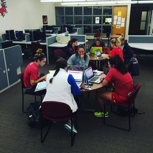 Image post by @stagswomenslax on Instagram