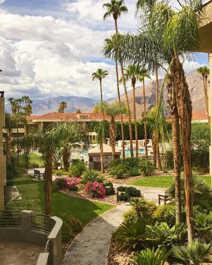 Image post by @hiltonhotels on Instagram