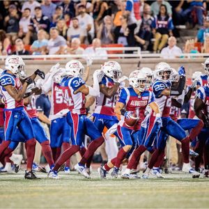 Image post by @mtlalouettes on Instagram