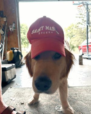 Image post by @smumn_whockey on Instagram