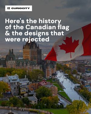 Image post by @curiocitycalgary on Instagram