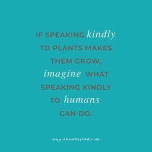 Image post by @anewdayhealth on Instagram