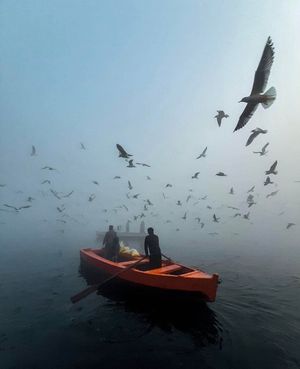 Image post by @fubiz on Instagram