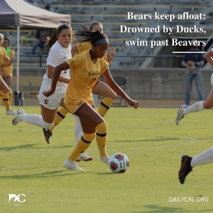 Image post by @dailycalsports on Instagram