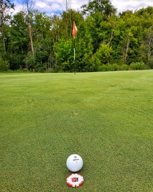 Image post by @wilsongolfcanada on Instagram