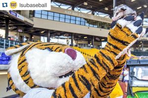 Image post by @lsumiketiger on Instagram