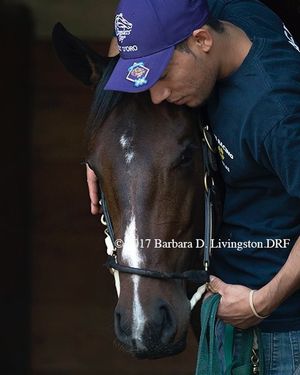 Image post by @spendthriftfarm on Instagram
