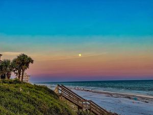 Image post by @SouthWalton on Twitter