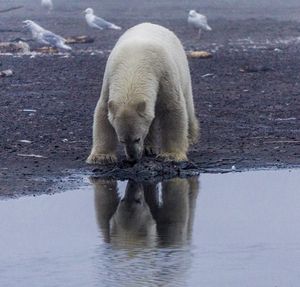 Image post by @kombilifeadventures on Instagram