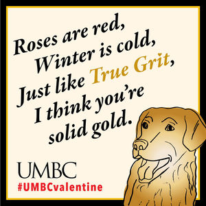 Image post by @umbclife on Instagram