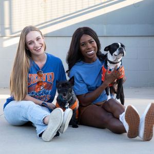 Image post by @denverbroncoscheer on Instagram