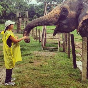 Image post by @animalplanet on Instagram