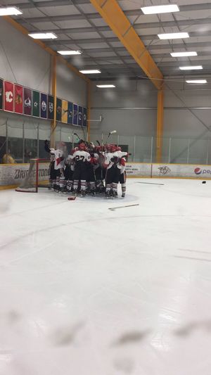 Image post by @UGAHockey on Twitter